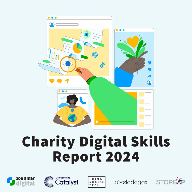 Charity Digital Skills Report 2024